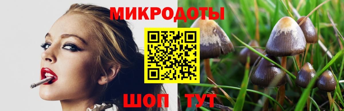 Вичуга  Галлюциногенные грибы мухоморы  Вход с VPN 